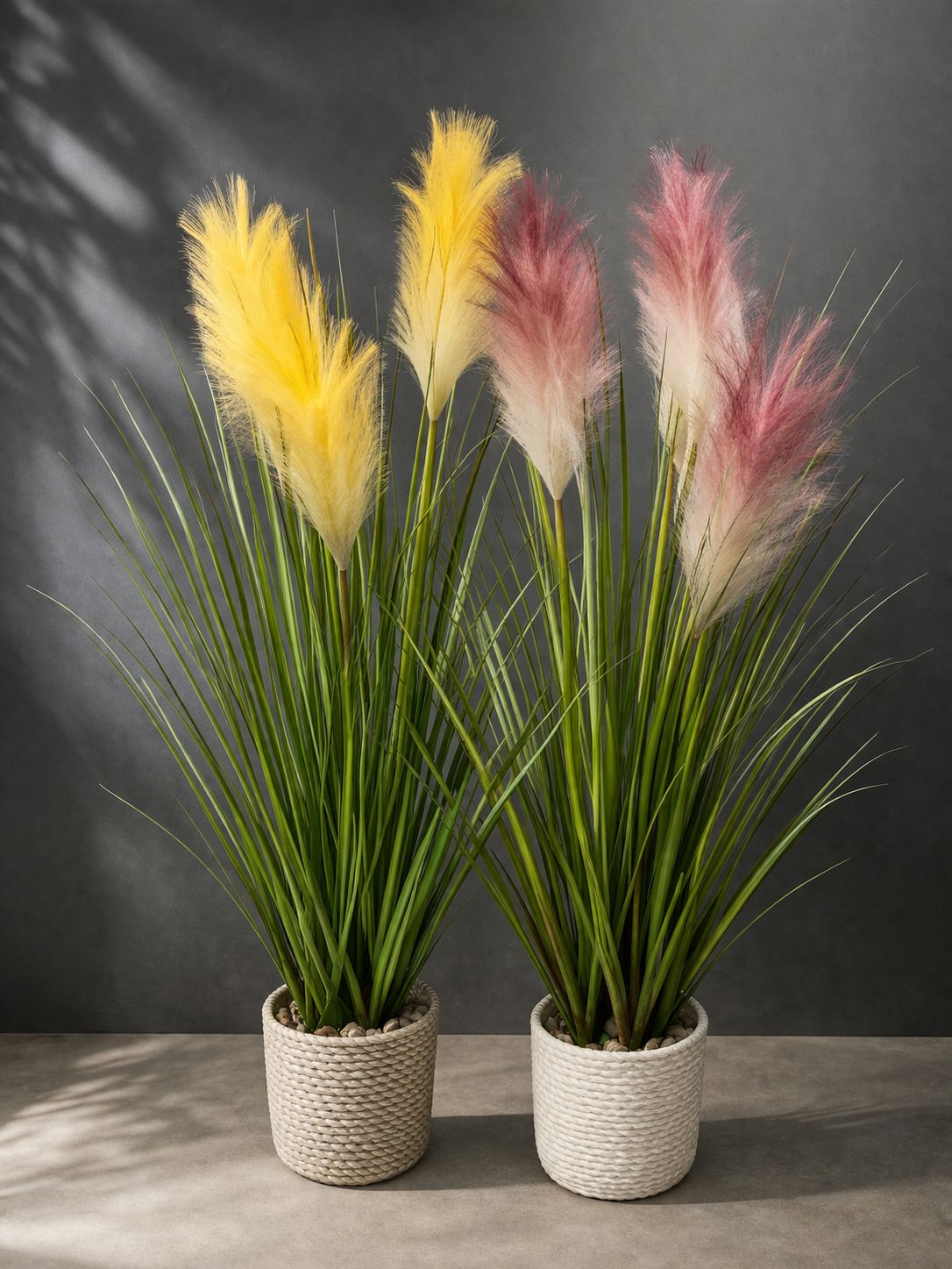 07f00373-bd76-4648-af86-aa7be70ab130