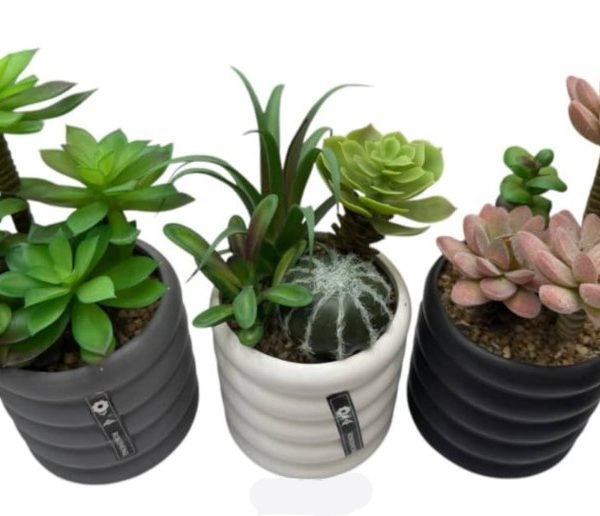 ARTIFICIAL CACTUS